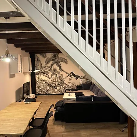 Apartment Duplex Spacieux 3 Centre Clim 8 Personnes Saverne