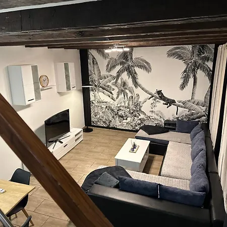 Duplex Spacieux 3 Centre Clim 8 Personnes *