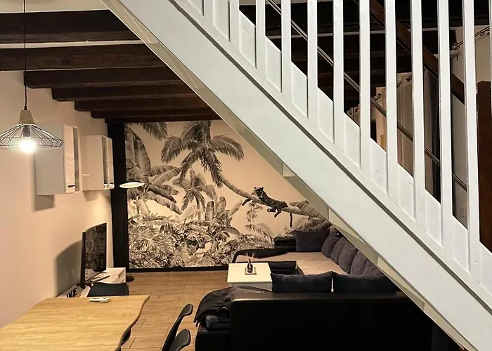 Apartment Duplex Spacieux 3 Centre Clim 8 Personnes Saverne