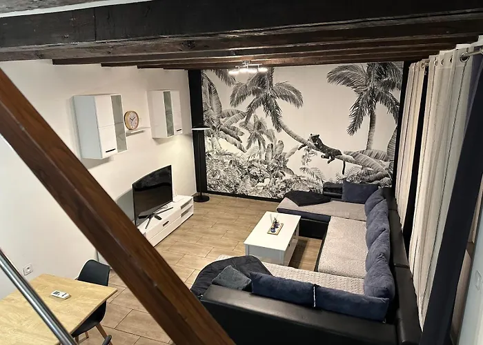 Duplex Spacieux 3 Centre Clim 8 Personnes *