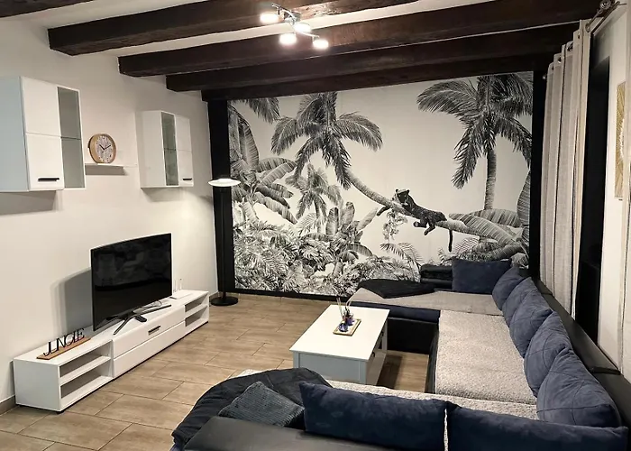 Apartment Duplex Spacieux 3 Centre Clim 8 Personnes *